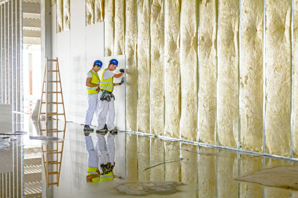 Insulation Inspection Services in Attalla, AL